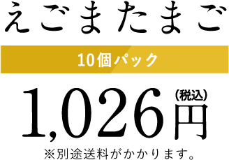 10個パック　1,026円